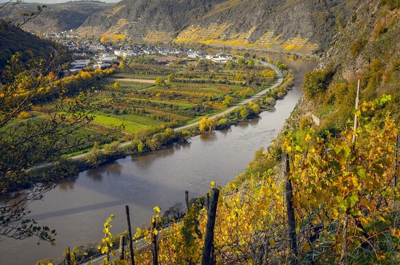 Tama66-Vineyards-4666055-1920